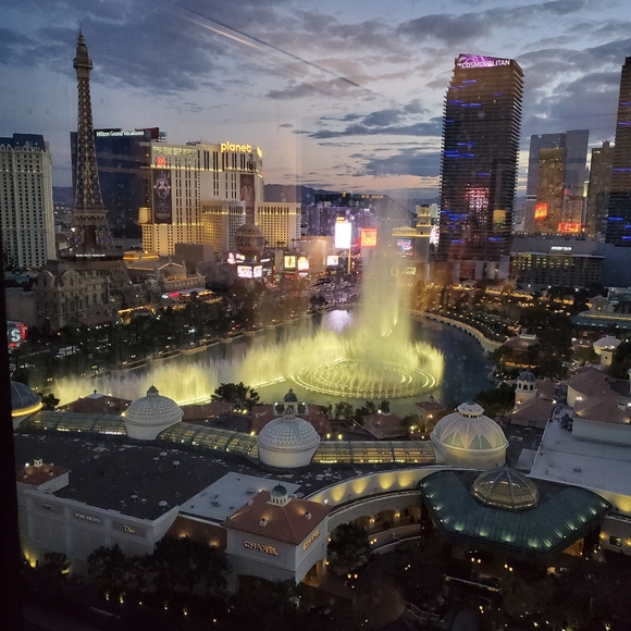 Meet your Posher, Patricia - Picture 4 of 11